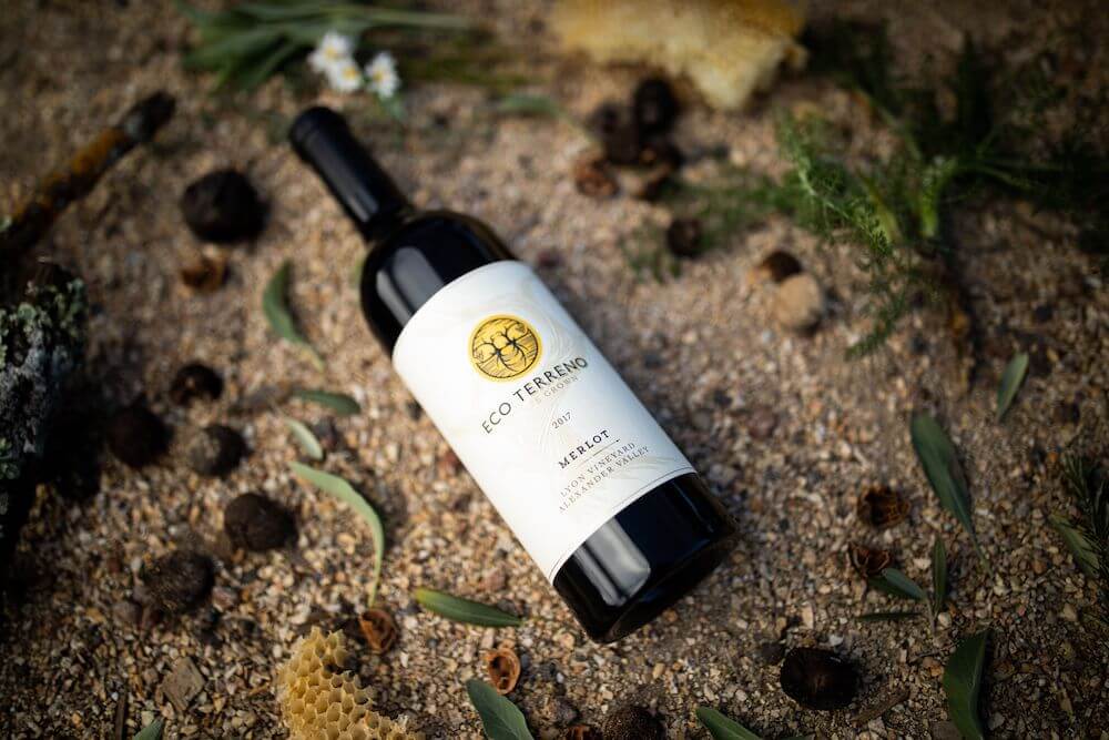 Bottle of merlot on the ground surrounded by honeycomb, leaves and native seeds from a tree.