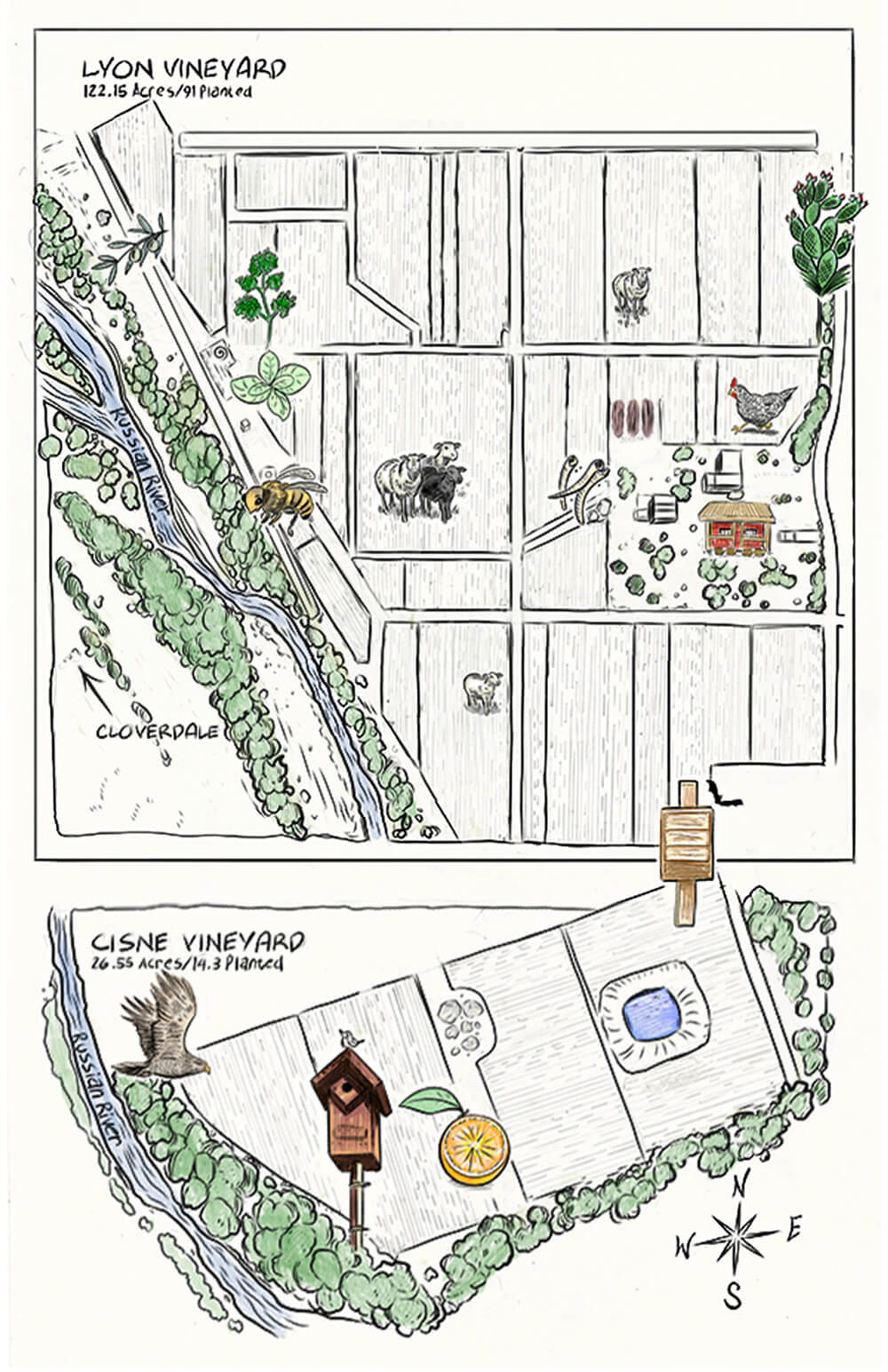 An illustrated map with pictures of things on the farm.