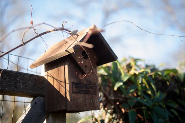 Bird box nailed to a fence on a farm