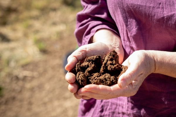 A handful of soil in the palm of an employees hand at Eco Terreno wine farm