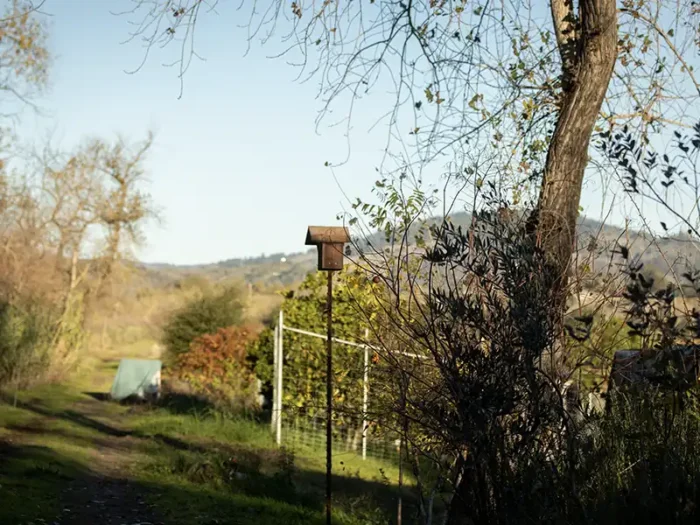 bluebird house amongst the eco terreno vineyards