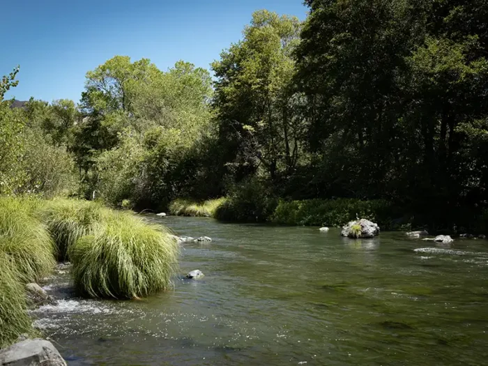 the russian river flowing through the eco terreno vineyards