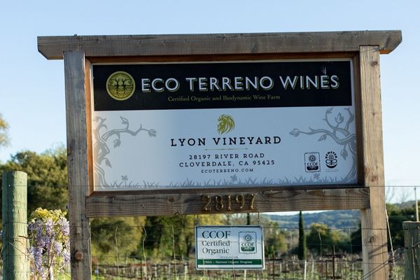Sign at entrance to Eco Terreno biodynamic vineyard