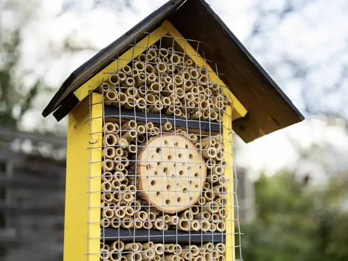 Bee shelter that is designed for burrowing bees on the farm at Eco Terreno Vineyards