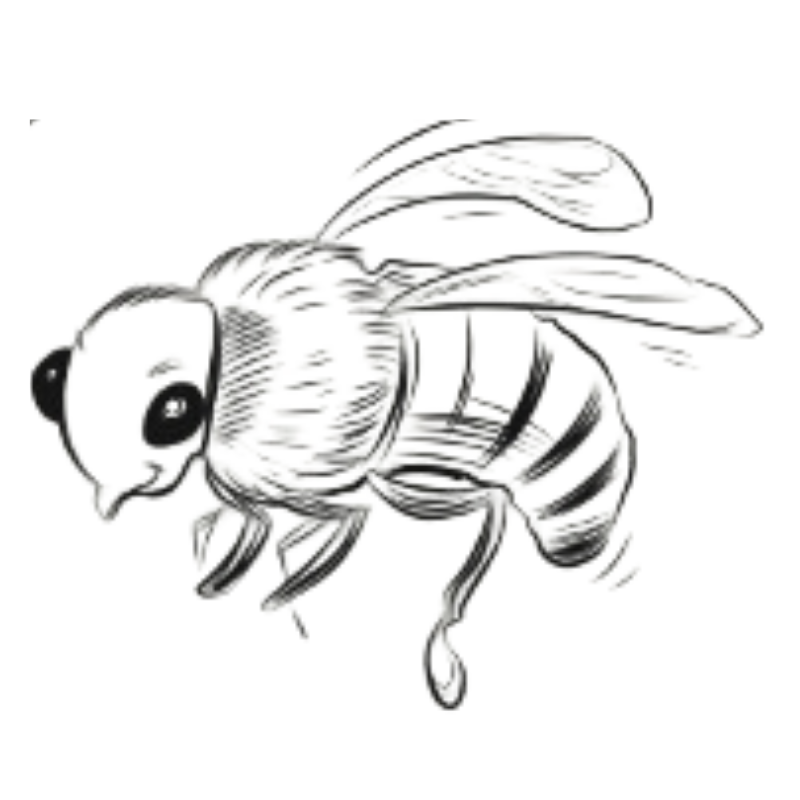 Bee-Illustration-solution Illustration of a bee
