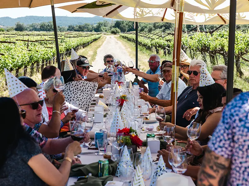 the guest table set up in the vines at the eco terreno vineyard in alexander Valley