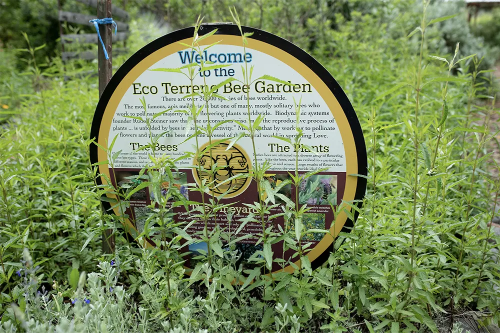eco-terreno-vineyard-bee-garden eco-terreno-vineyard-bee-garden