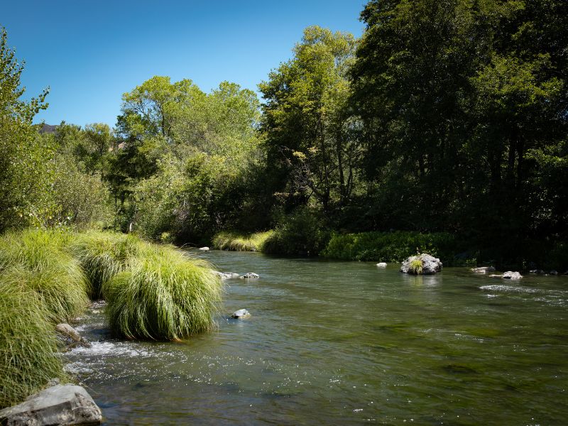 eco-terreno-vineyard-russian-river russian river that eco terreno vineyard sits on the banks of