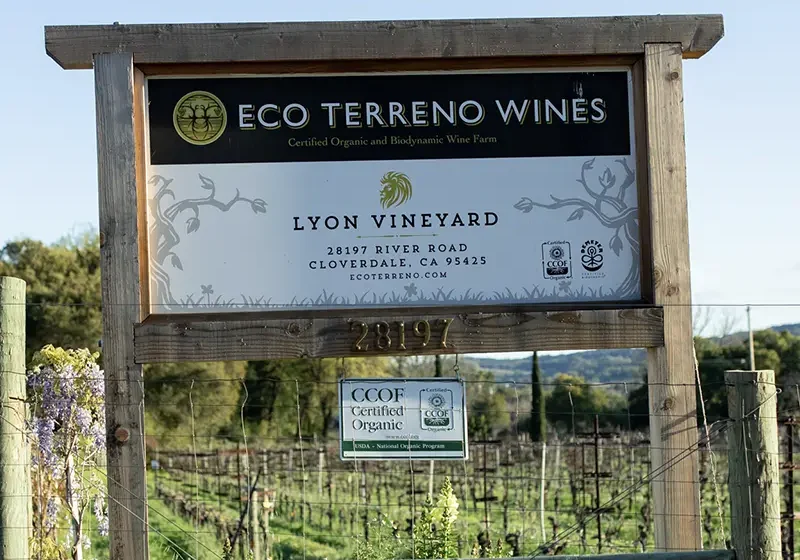 lyon vineyard at the eco terreno wine farm